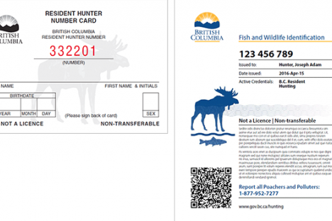 The hunt is on for 2017 in the West Kootenay-Boundary