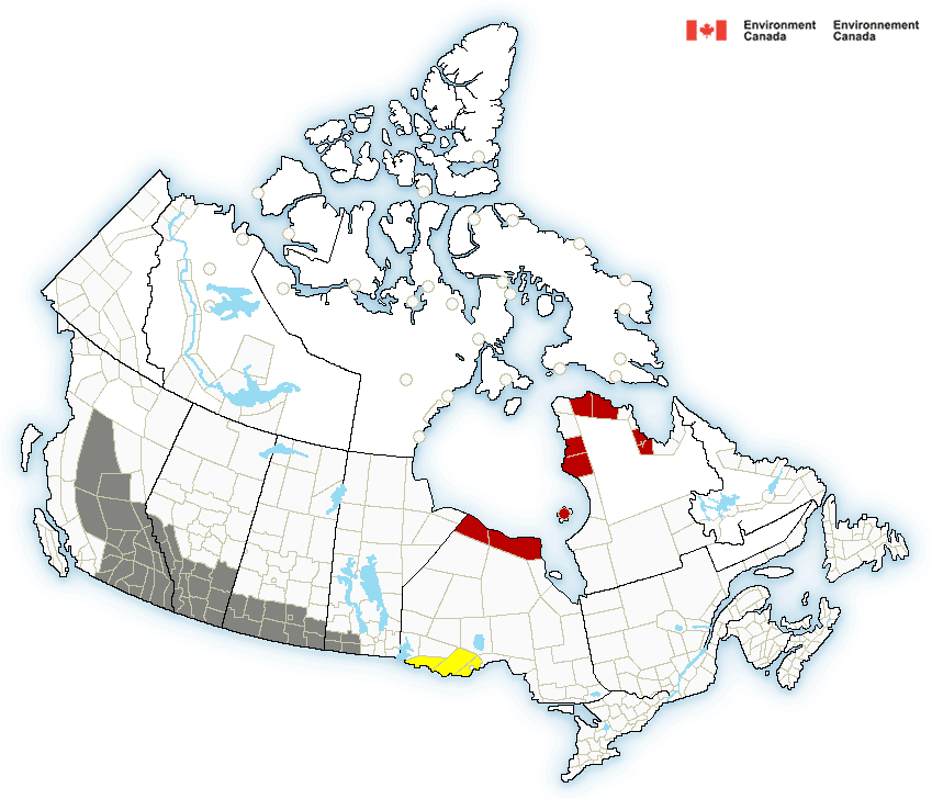 UPDATED: Air Quality Statement continues — public advised to avoid strenuous outdoor activities
