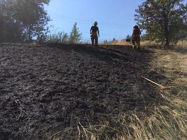 Cigarette butt causes fire near homes ; prompts Fire Chief to warn of hefty fines for careless fire behaviour