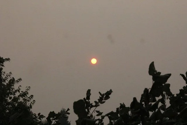 Smoky Skies Bulletin the norm for the next few days