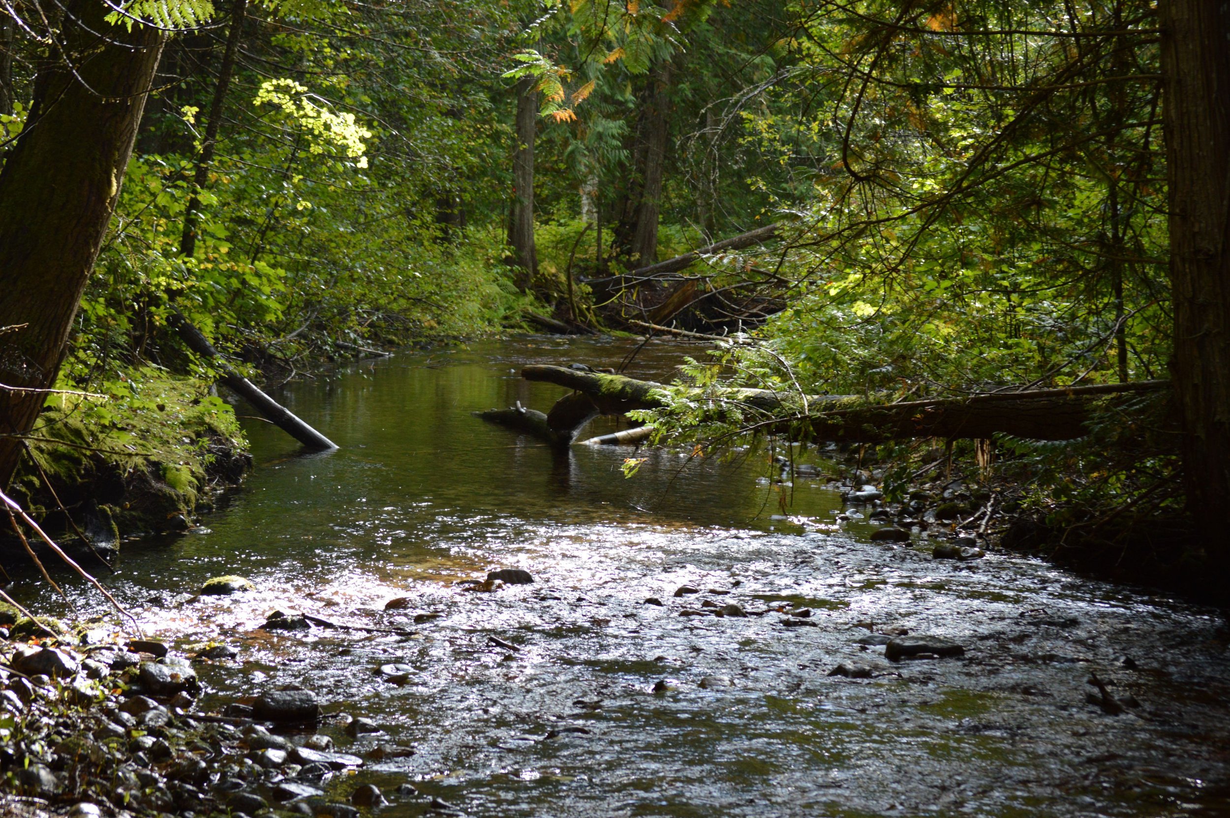 RDKB hosts Groundwater Licensing Workshop