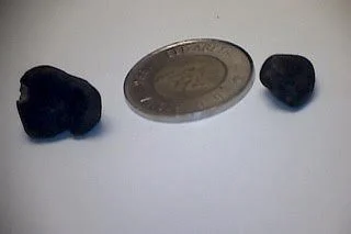 Crawford Bay resident finds meteorite fragments