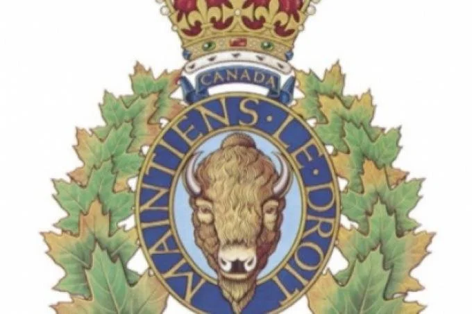 Police seek answers in local fatal collision