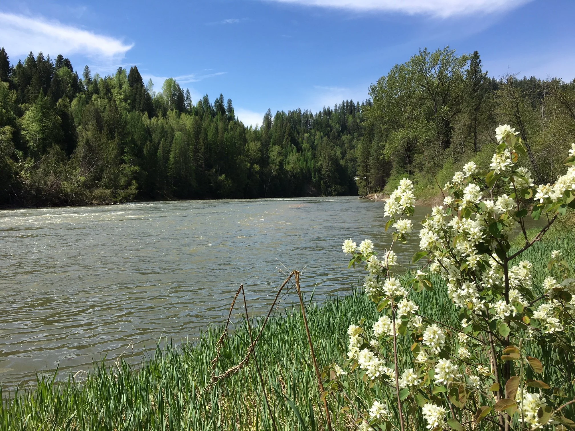 Flood watch downgraded for Boundary, Slocan River, West Kootenay