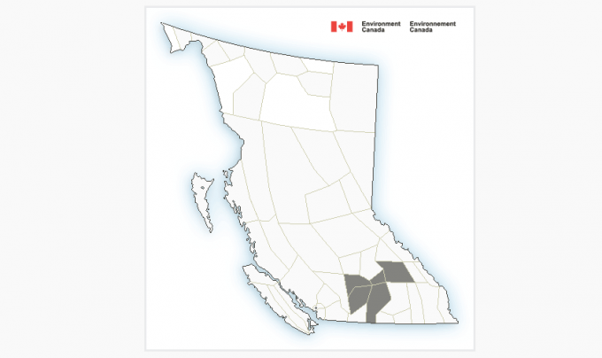 UPDATED: Strong winds no longer threat to Boundary, West Kootenay