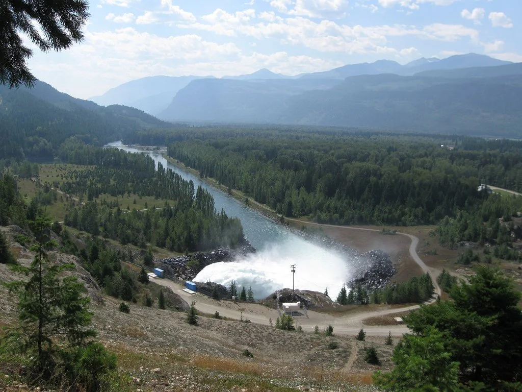 Government announces bull trout removal due to low kokanee numbers