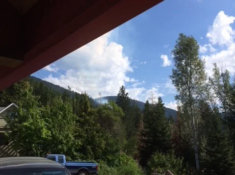 UPDATED: Wildfire north of Nelson in 'being held' stage