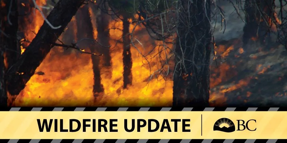 Wildfire near Kootenay National Park forces partial closure of forestry road