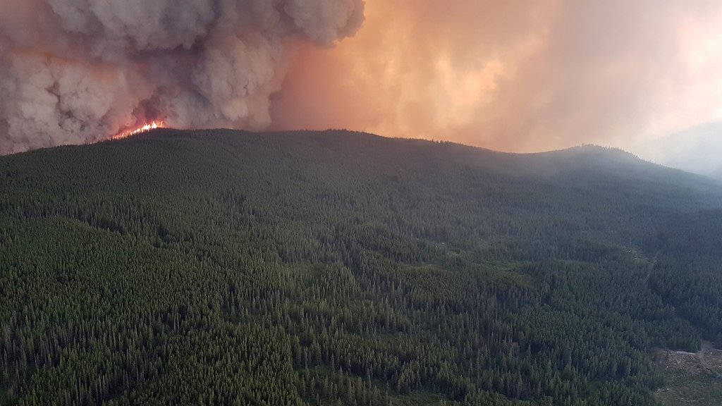 State of emergency declared as wildfires continue to burn BC