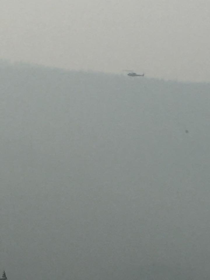 Wildfire near China Creek 22 hectares in size
