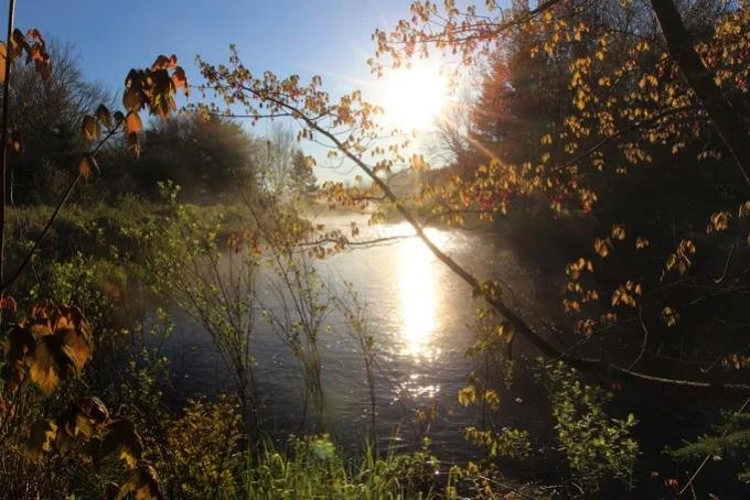 Why Canada needs to be global leader in protecting freshwater