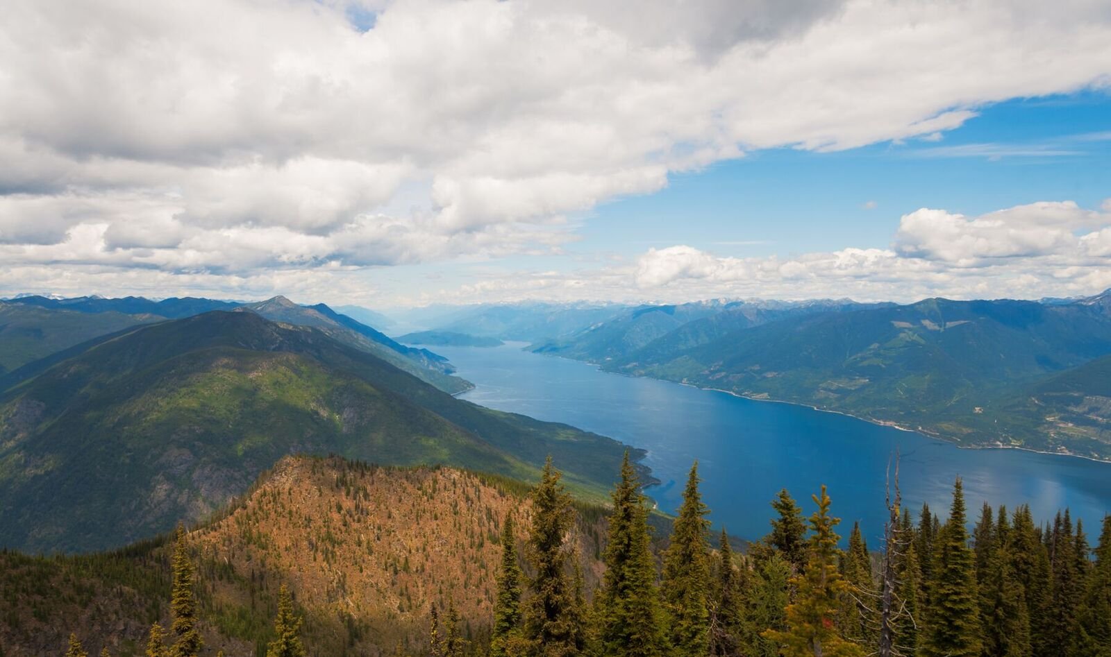 Feds, BC invest in expansion of Darkwoods Conservation Area