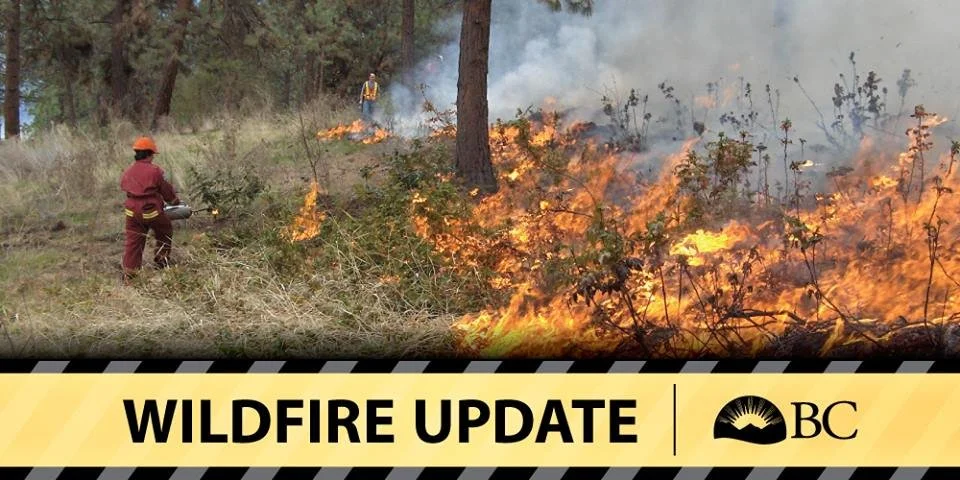 Wildfire update: Bald Range reaches 25,021 hectares as lightning sparks new fires across southern Interior