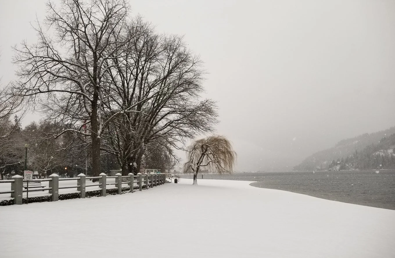 December Weather — unseasonably mild, seasonably wet