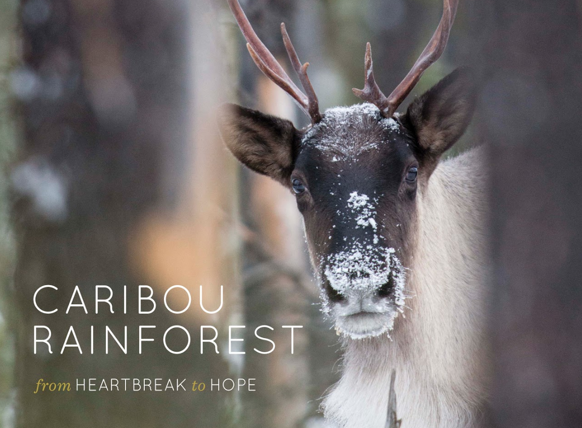 Caribou Rainforest — David Moskowitz ‘Heartbreak To Hope’ Multimedia Book Tour