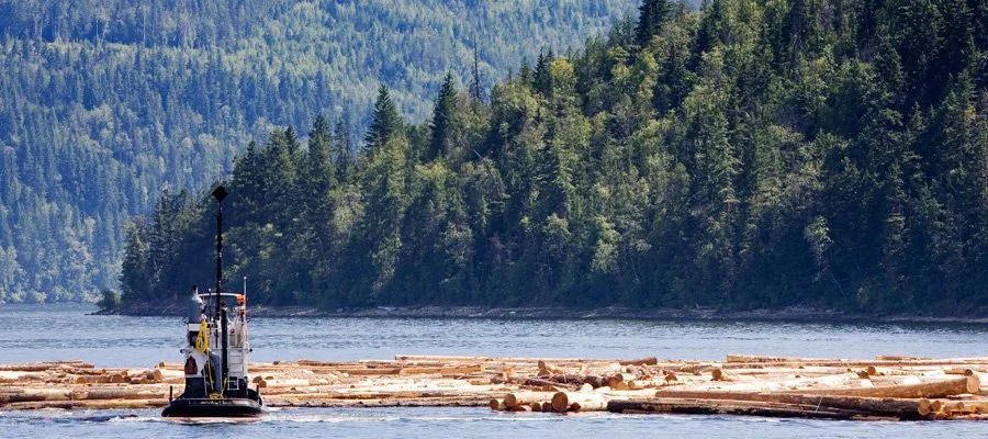 Op/Ed: Review and reform natural resource revenues