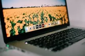 Editorial Rant: RCMP Surveillance of Social Media -- to What End?
