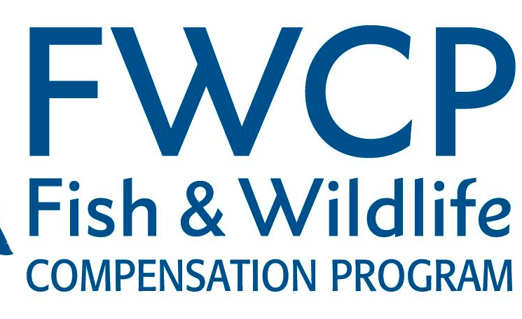 FWCP Columbia Region Seeks New Board Member