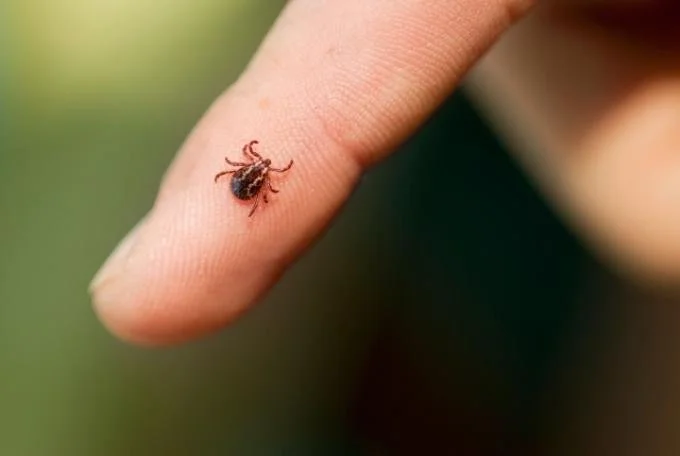 Interior Health says now is Time to Talk Ticks