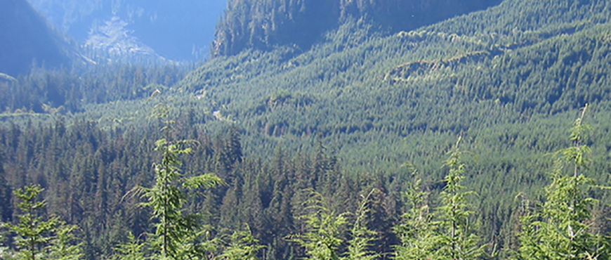 Changes to forest and range legislation improve transparency