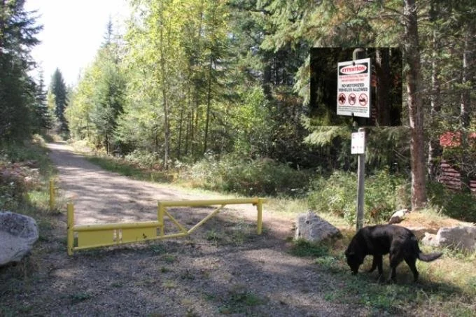 New policy clarifies e-bike use on designated recreation trails
