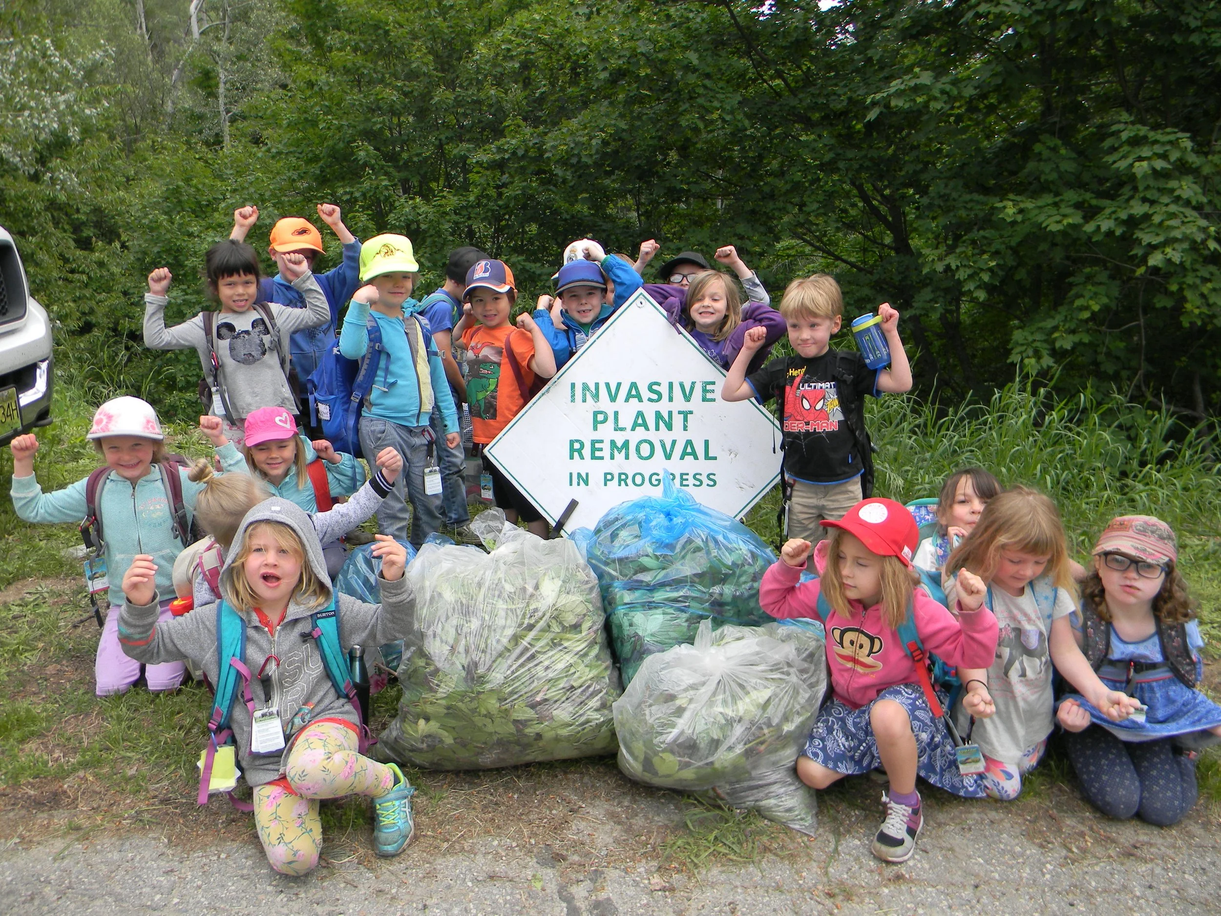 It's time to go after invasive weeds.