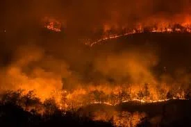Interior Health: Be prepared for wildfire smoke events