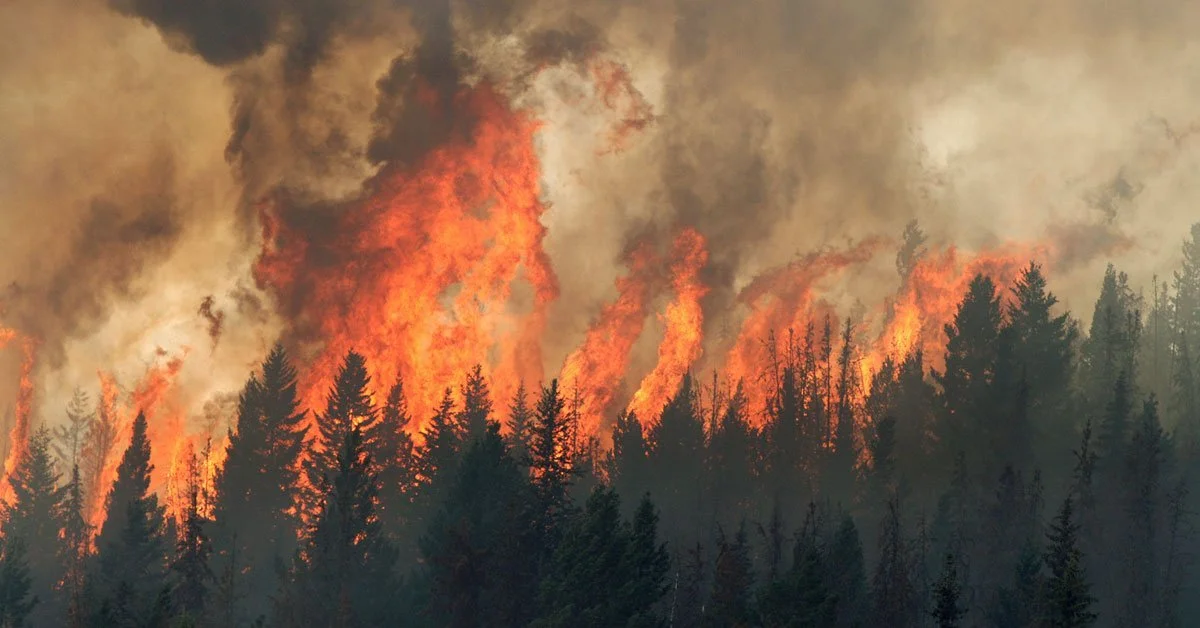 Weather makes for gentle start to fire season in our region