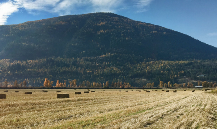 New partnerships help Kootenay, Boundary farmers adapt to climate change