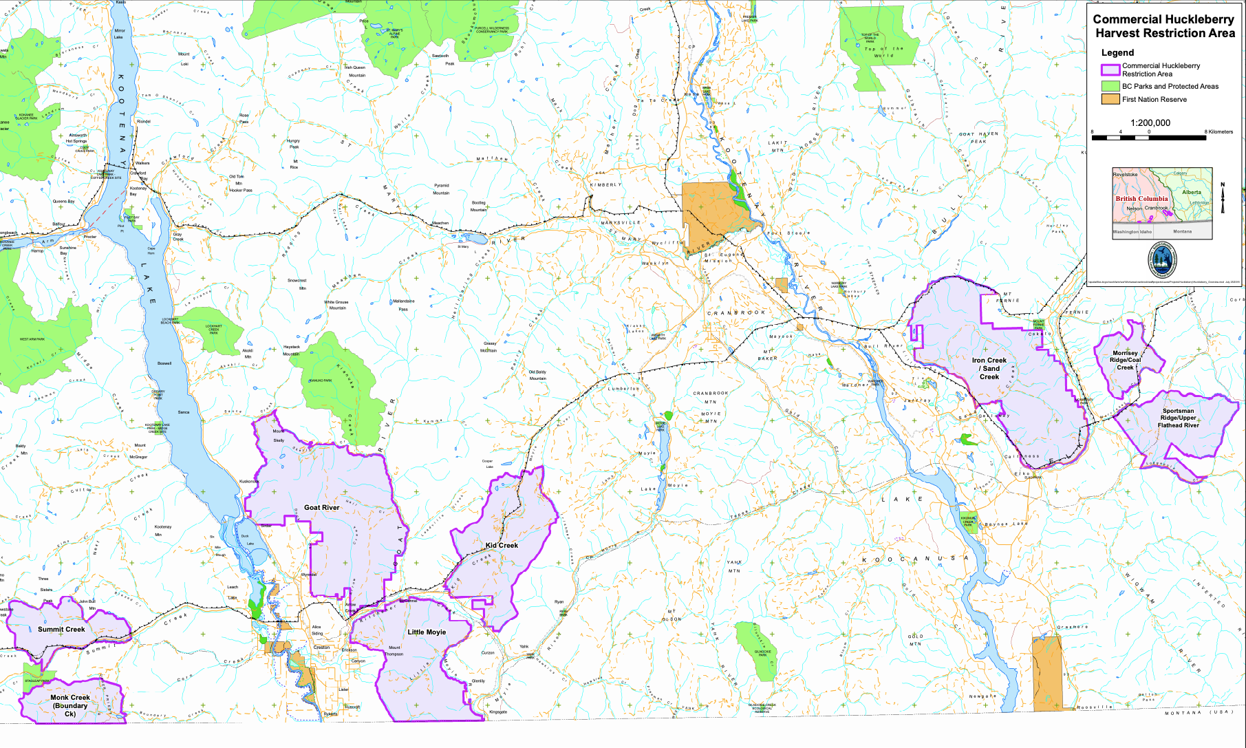Huckleberry harvesting restricted in Kootenay/Boundary to protect grizzly habitat