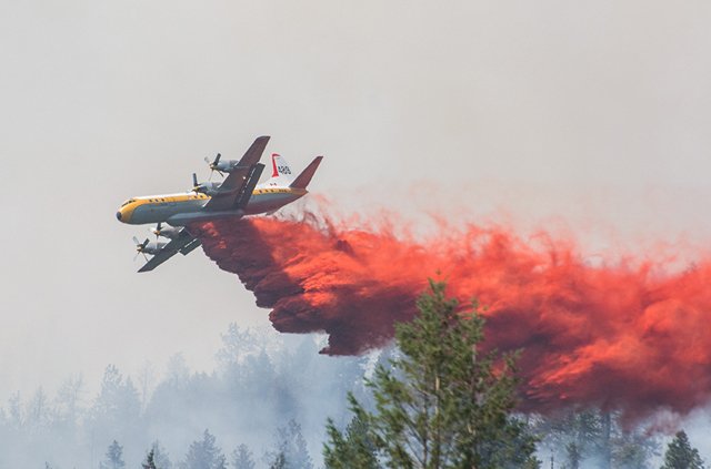 Help prevent wildfires on the B.C. Day long weekend