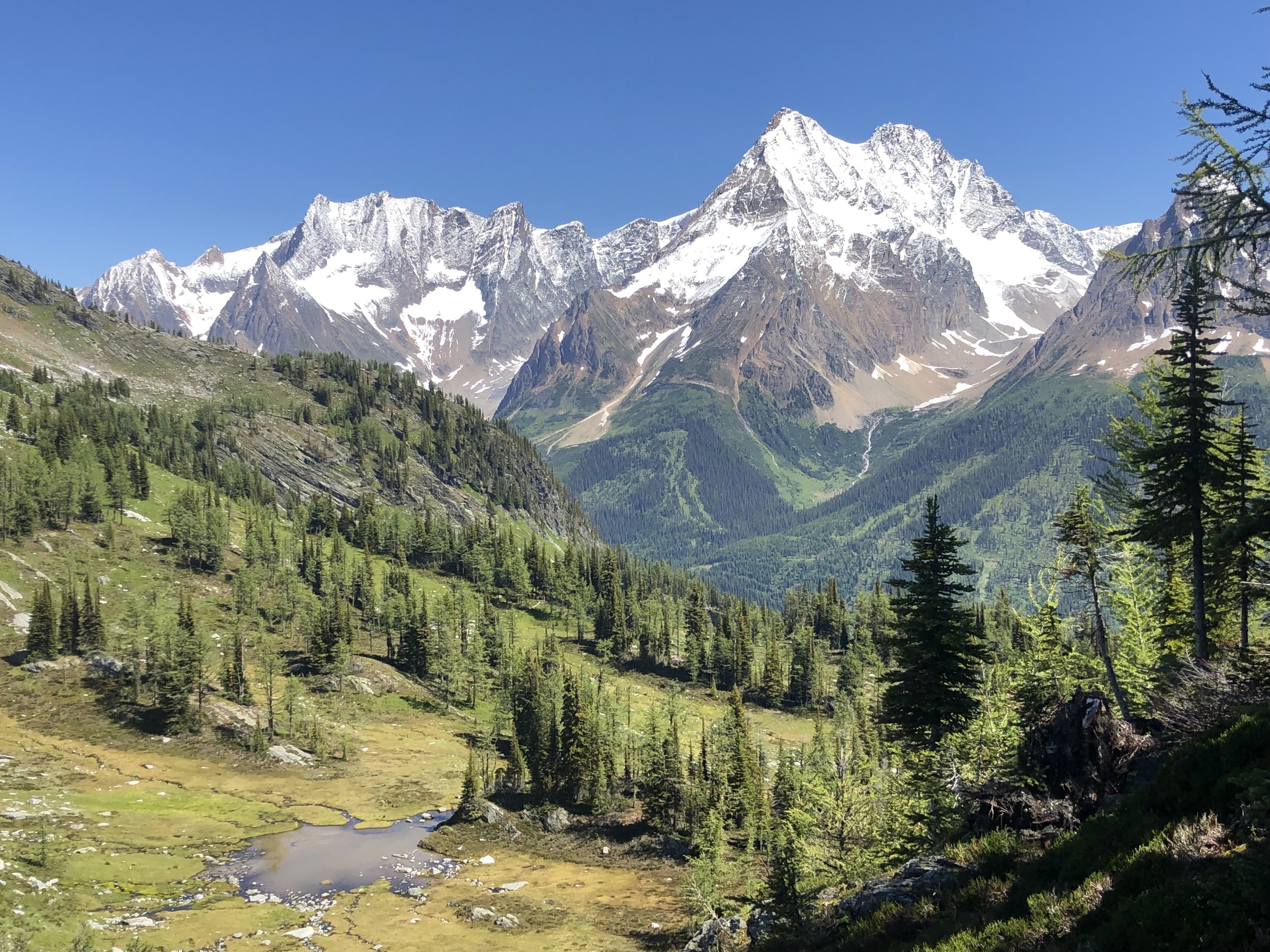 BC Court of Appeal deals blow to Jumbo Glacier Resort