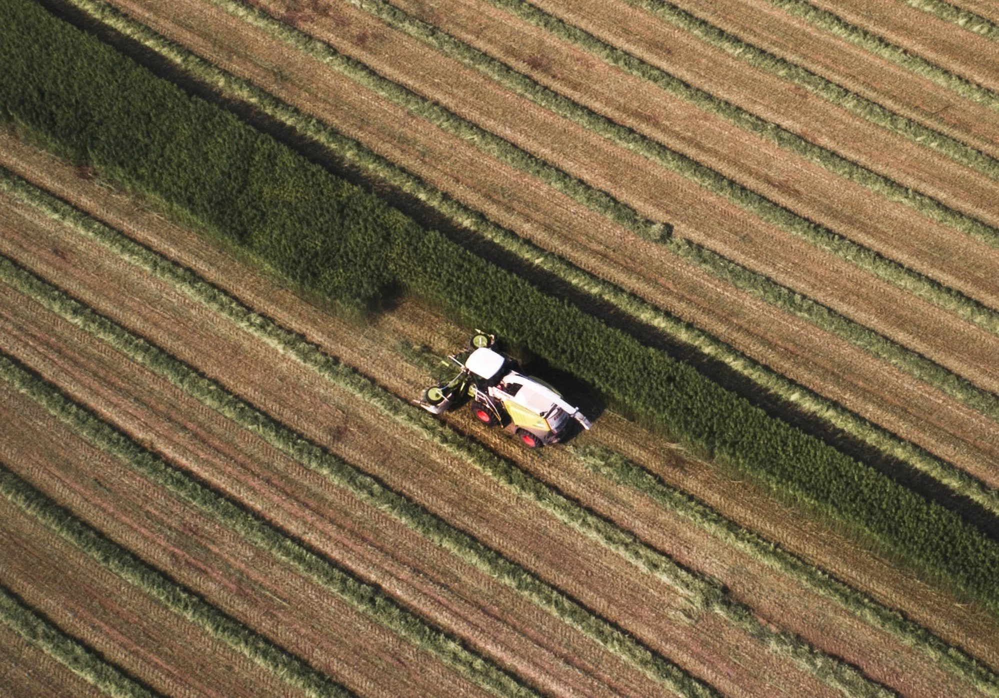 Column: Our biodiversity crisis -- connecting the dots