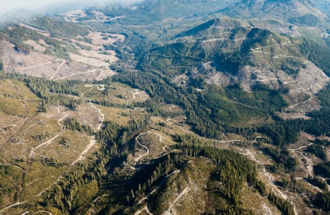 Efforts continue to protect the Argenta/Johnson’s Landing forested watershed