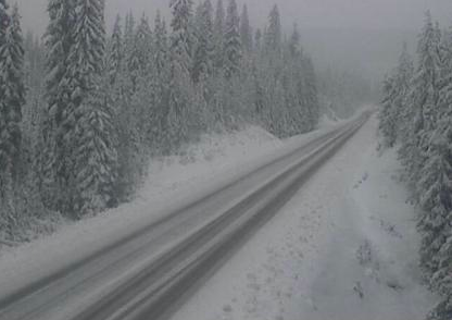 There's snow on Paulson Summit, Kootenay Pass