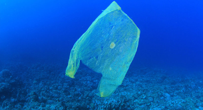 Plastics free month takes shape for October in Nelson