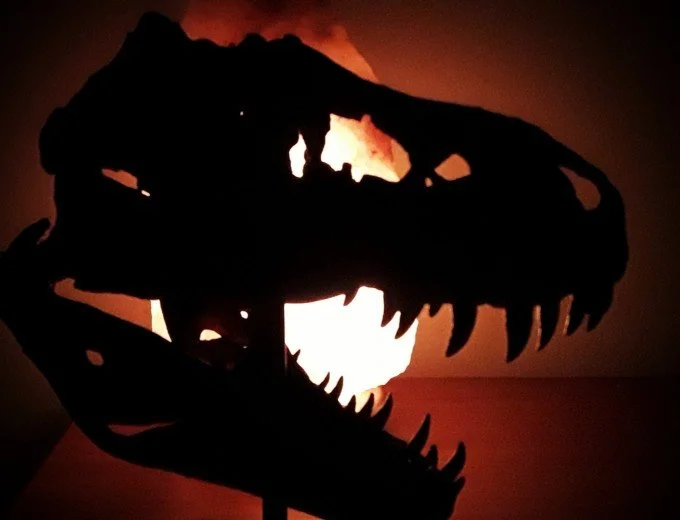 Opinion: We are heading for a New Cretaceous, not a new normal