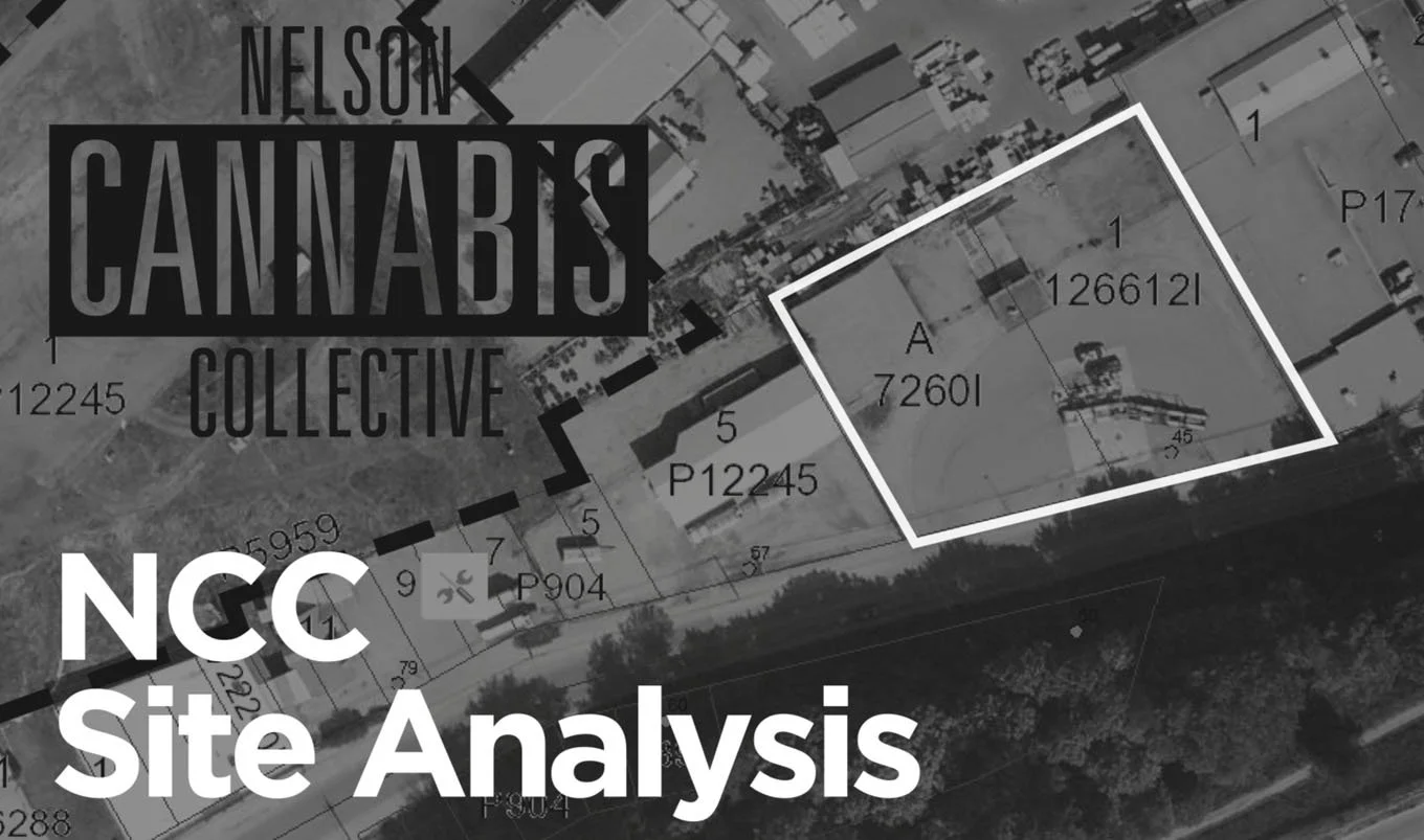 Application for cannabis cultivation in city limits moves ahead to public hearing