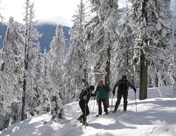 Do you know about the Snow Host program?
