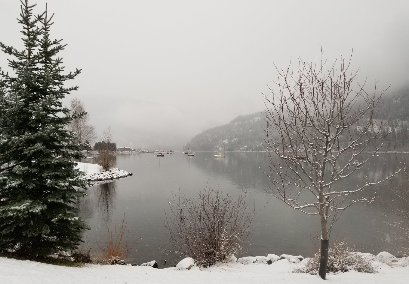 December mean temperature above average