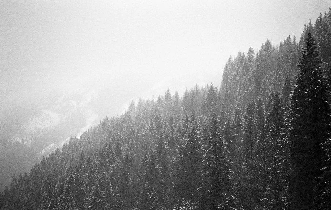 Snow Survey and Water Supply Bulletin reports high snowpack in RDKB