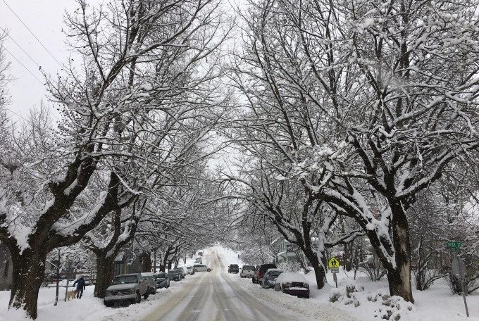 January sets new record for most days with measurable precipitation