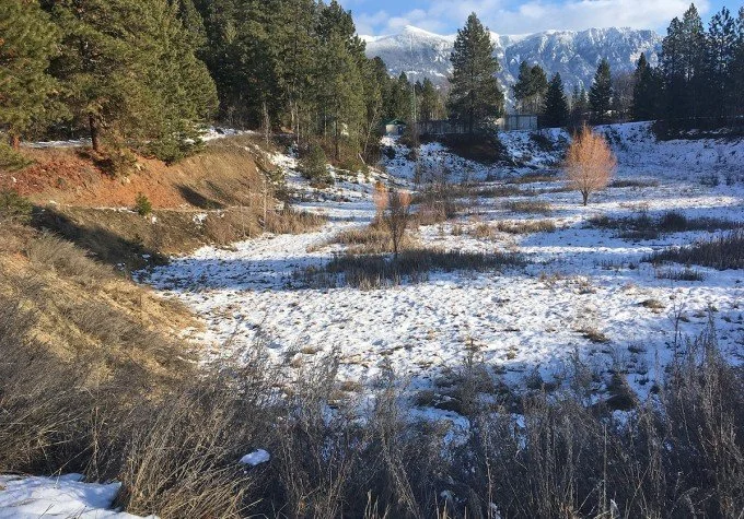 Projects Aim for Meaningful Environmental Impacts
