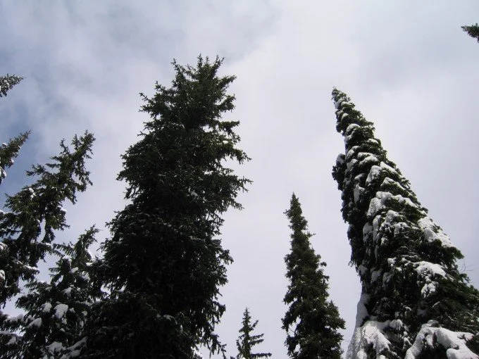 Rec Site cabins closed