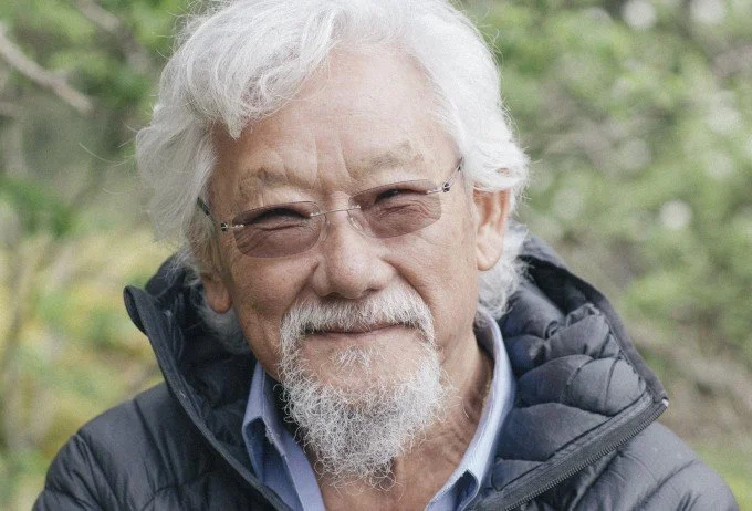 Column: Healthy forests, healthy humans
