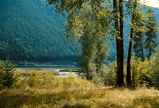 BC Parks closing all provincial parks due to COVID-19