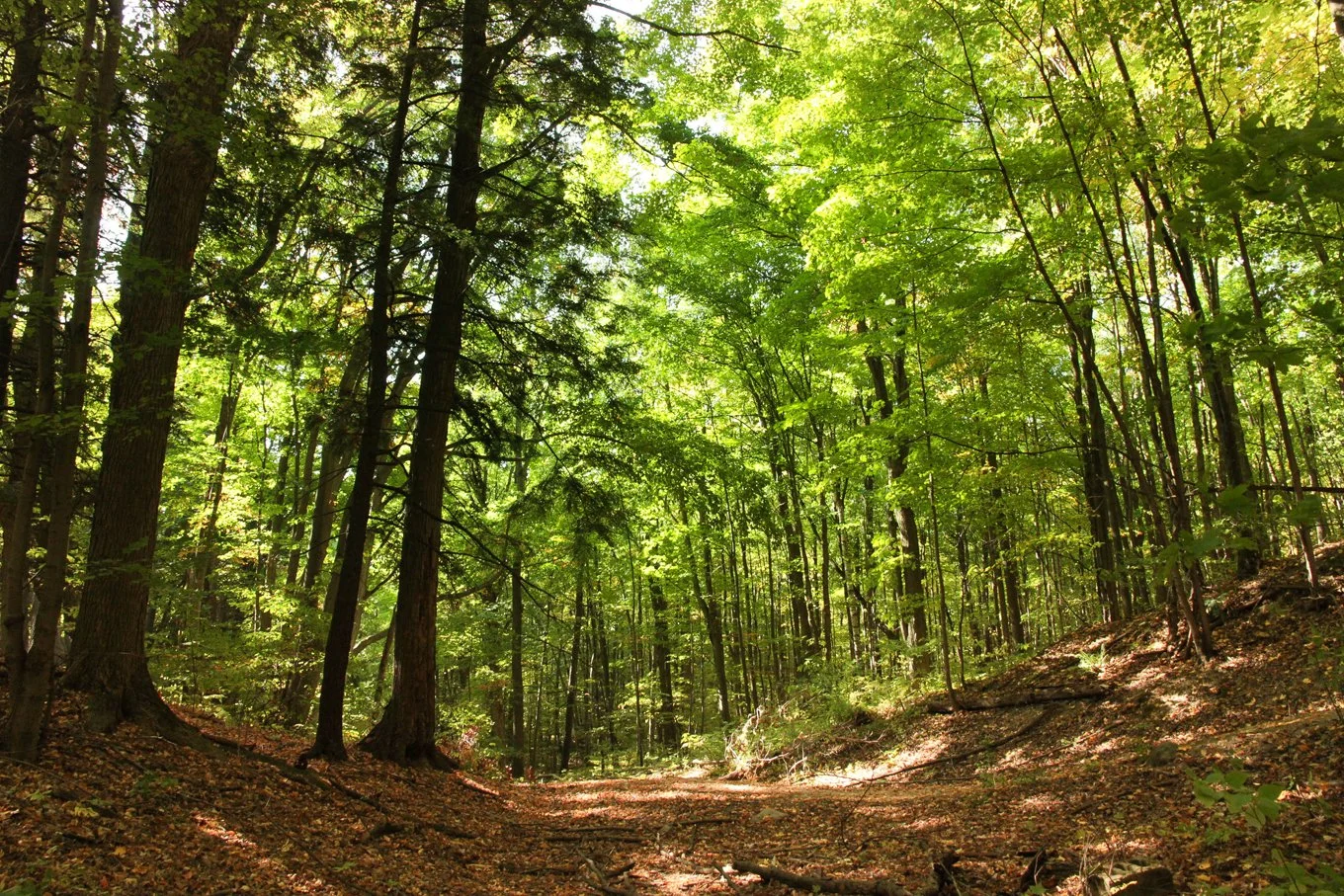 A new relationship to wildlife is needed for nature and people