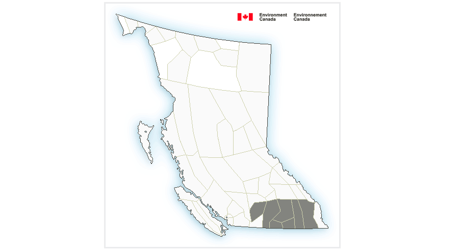 UPDATED: Special Weather Statement for Boundary, West Kootenay ended