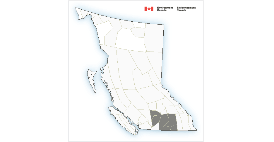 Special Weather Statement for Boundary, West Kootenay, Arrow/Slocan Lakes