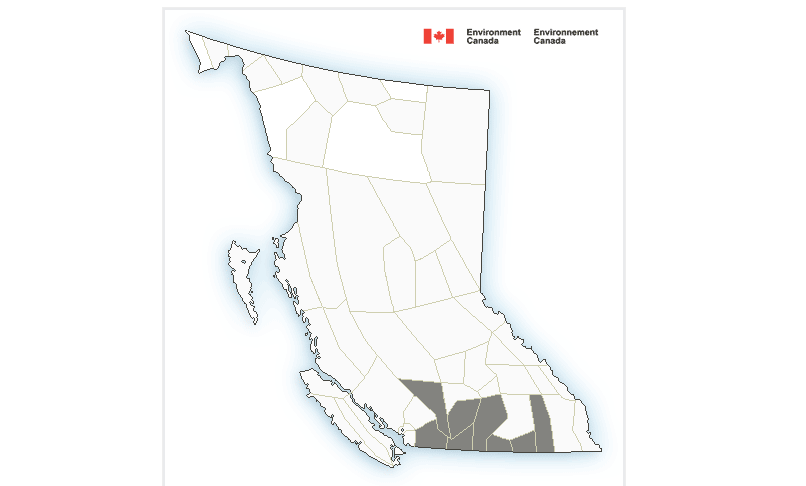 Special Weather Statement for Highway 3, Paulson Summit to Kootenay Pass